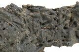 Pica Glass ( g) - Meteorite Impactite From Chile #225626-2